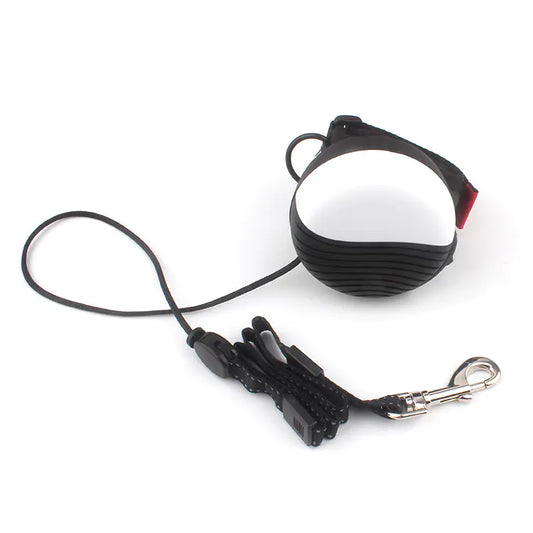 Automatic Retractable Dog Leash for Small to Medium Pets