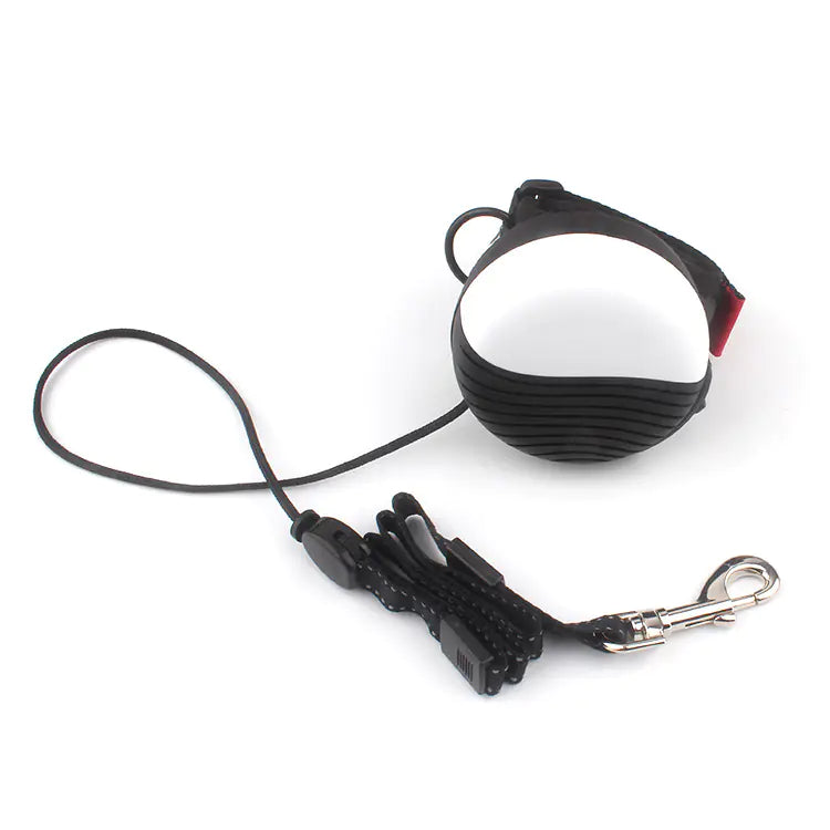 Automatic Retractable Dog Leash for Small to Medium Pets
