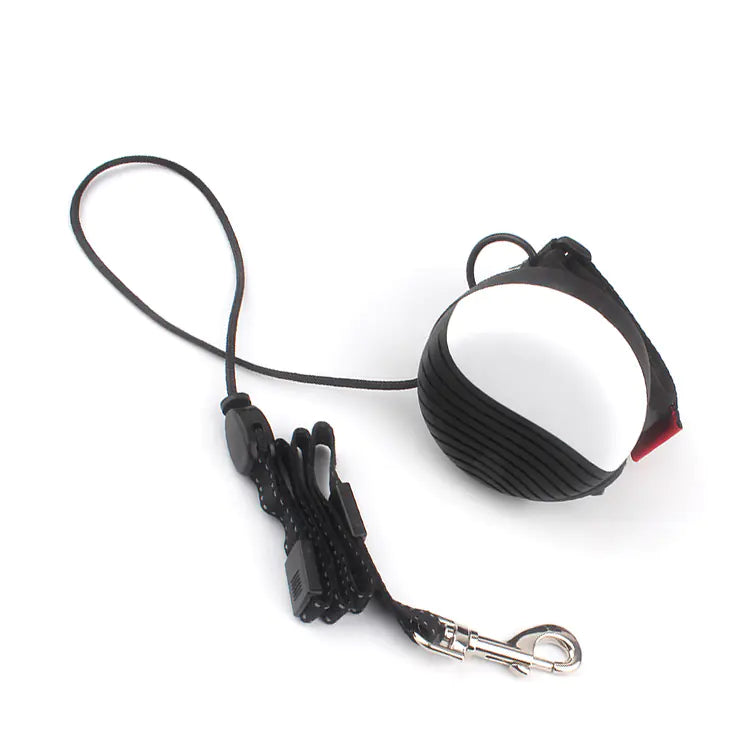 Automatic Retractable Dog Leash for Small to Medium Pets