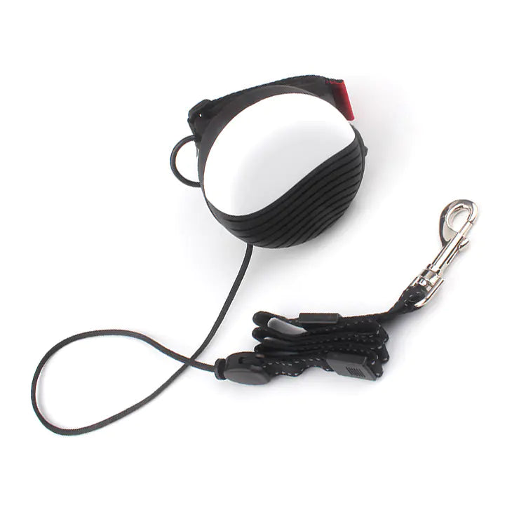 Automatic Retractable Dog Leash for Small to Medium Pets